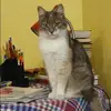Отзыв от Оксана Чижова